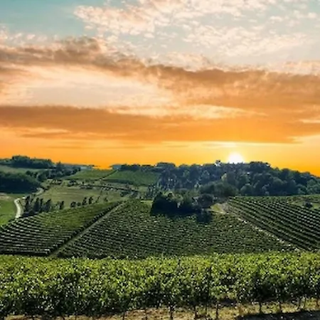 In Guest - La Culla Tra I Vigneti - Stanza Gæstehus