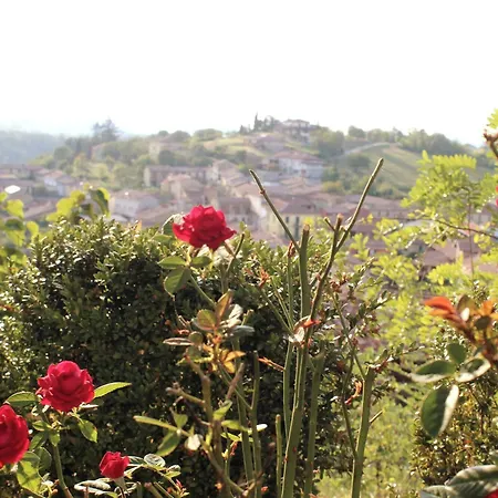 In Guest - La Culla Tra I Vigneti - Stanza Maison d'hôtes Grazzano Badoglio